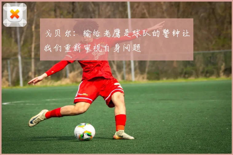 戈贝尔：输给老鹰是球队的警钟让我们重新审视自身问题